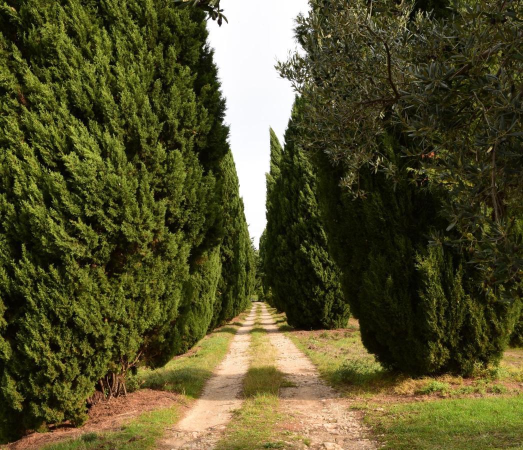 مبيت وإفطار دْراجينْيا Chateau Saint-Esprit المظهر الخارجي الصورة