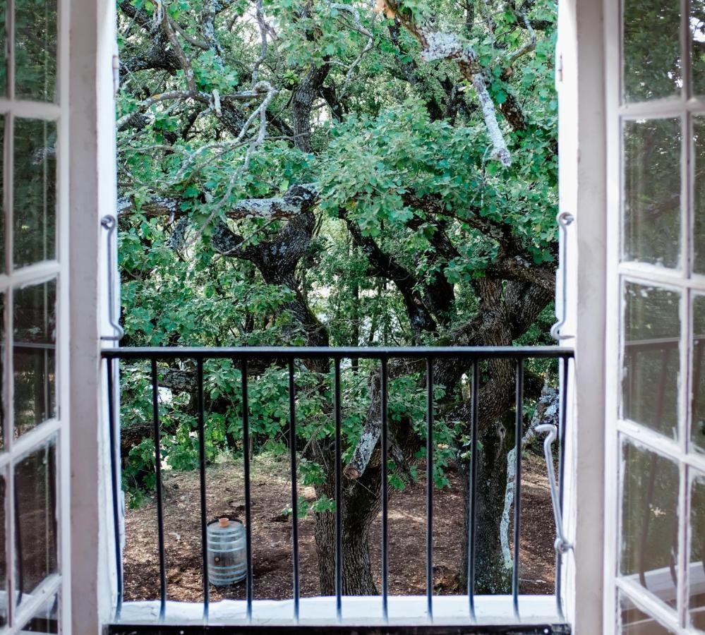 مبيت وإفطار دْراجينْيا Chateau Saint-Esprit المظهر الخارجي الصورة